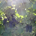 Am Weinberg Апартаменты Mainstockheim