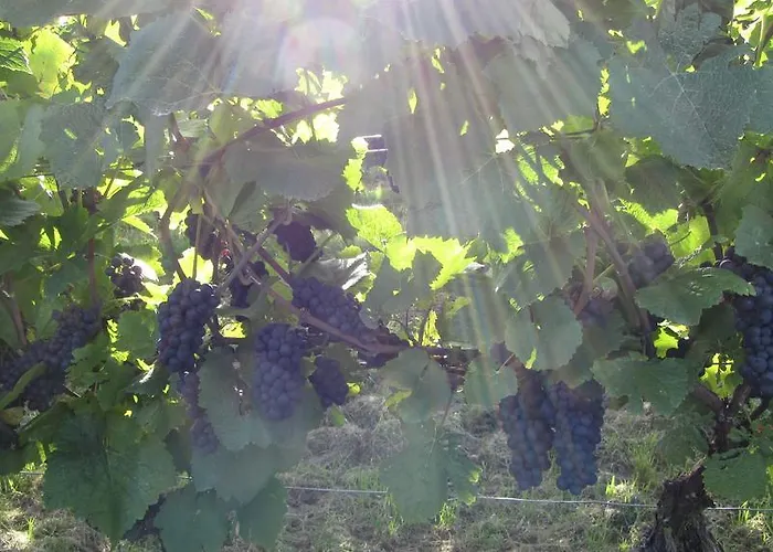 Am Weinberg Appartamento Mainstockheim